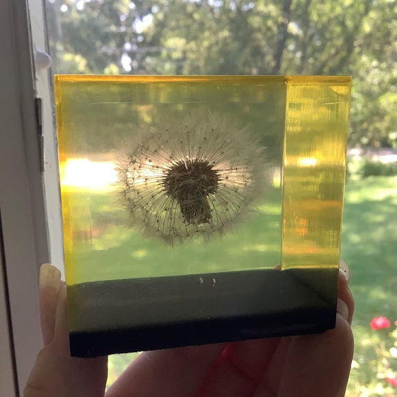 Mid Century Dandelion Flower Lucite Cube Paperweight by Gumps USA 1960s - Picture 8 of 10